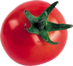 Как спасти помидоры от фитофторы
