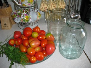 Выращивание томатов в сибири