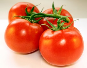 Правильный полив томатов