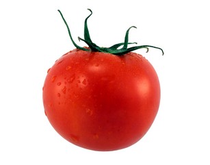 Выращивание помидоров ганичкина