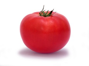 Болезни томатов в теплице