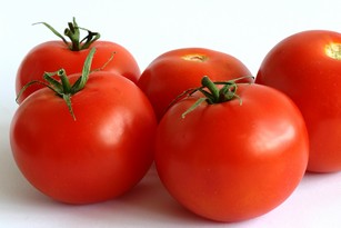 Обработка помидор от фитофторы