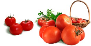 Сколько весит 1 помидор