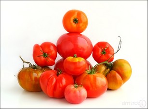 Котлеты в духовке с помидорами