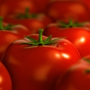 Семена томатов голландской селекции