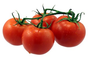 Чем брызгать помидоры от фитофторы