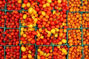 Почему желтеют нижние листья помидор