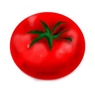 Выращивание томатов на юге украины