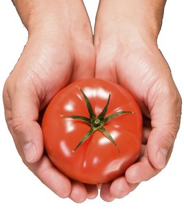 Рецепт салата помидоры огурцы