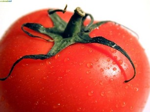 Бурая пятнистость томатов фото