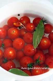 Фитофтора на томатах фото