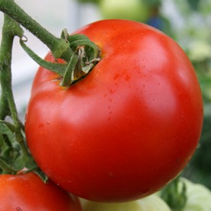 Чем можно заменить томатную пасту