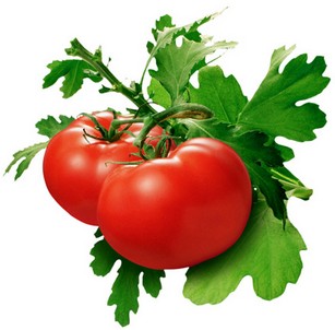 Жареные помидоры с луком