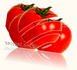 Сорт помидор новичок