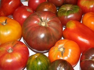 Гост томаты консервированные