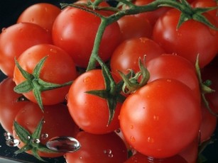 Каталог томатов сибирский сад