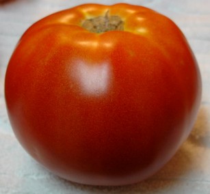 Выращивание помидоров в крыму
