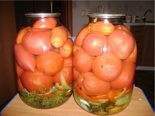 Сколько нужно поливать помидоры