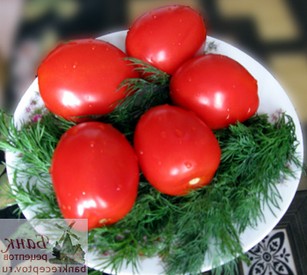 Фаршированные помидоры соленые