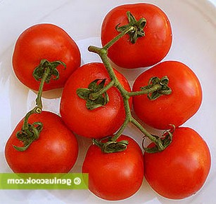 Сорта помидор низкорослые