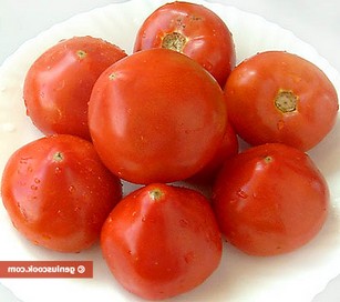 Ржавчина на листьях томатов