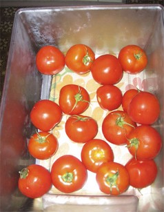 Какие помидоры посадить