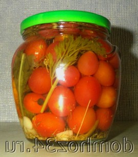 Лучшие сорта помидор 2011