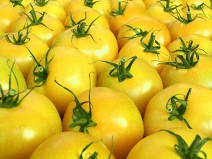 Рецепты томатов