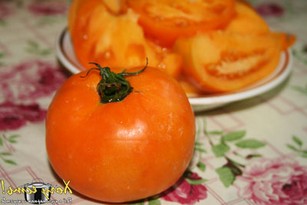 Чем подкормить томаты в теплице