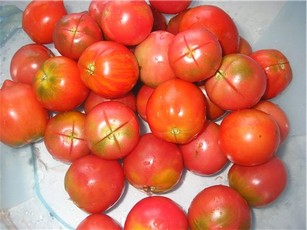 Как бороться с фитофторой помидор