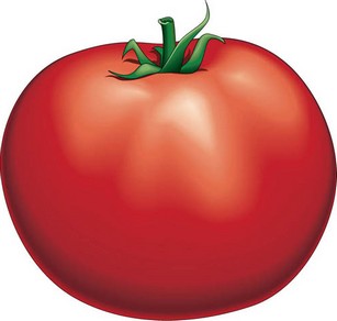Рецепт тюльпаны помидоры