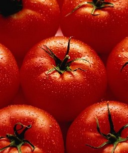 Подкормка томатов птичьим пометом