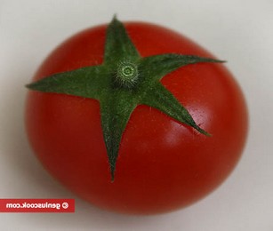Рецепт соленых зеленых помидор