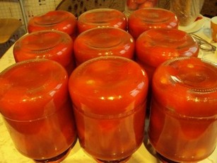 Сухая гниль томатов