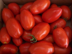 Запеченные помидоры с сыром фото