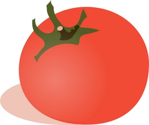 Подкормка помидоров в открытом грунте