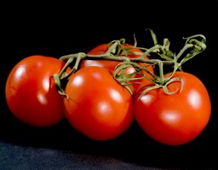 Как ухаживать помидоры в теплице
