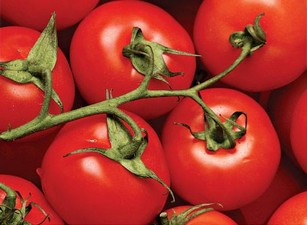 Уход за низкорослыми помидорами