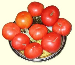 Соковыжималка шнековая для томатов