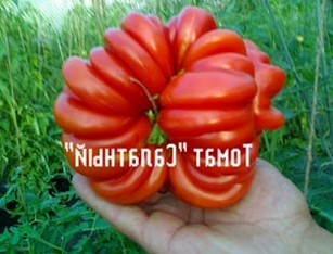 Калийные удобрения для томатов