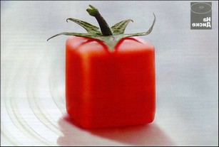 Рецепт омлета с помидорами