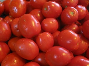 Как подвязывать помидоры черри