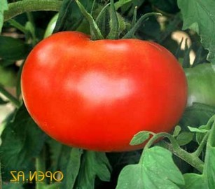 Картошка с томатной пастой