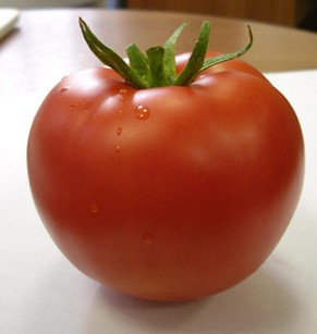 Бурая пятнистость томатов фото