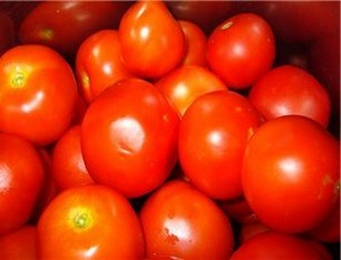 Помидоры томаты
