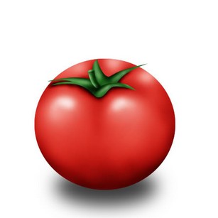 Агротехника выращивания помидоров