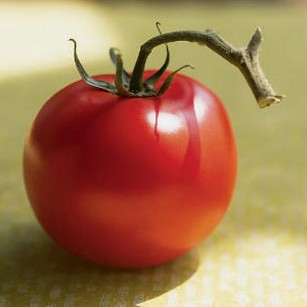 Как вырастить урожай томатов