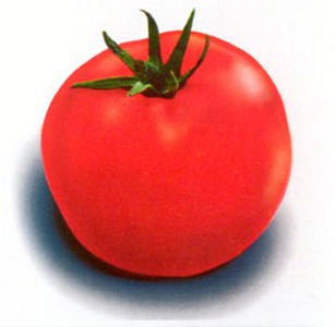 Сорта помидор с картинками