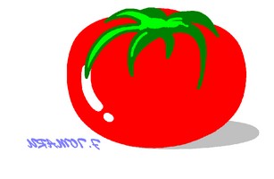 Томат помидор форум
