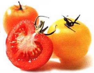 Приготовление малосольных помидор